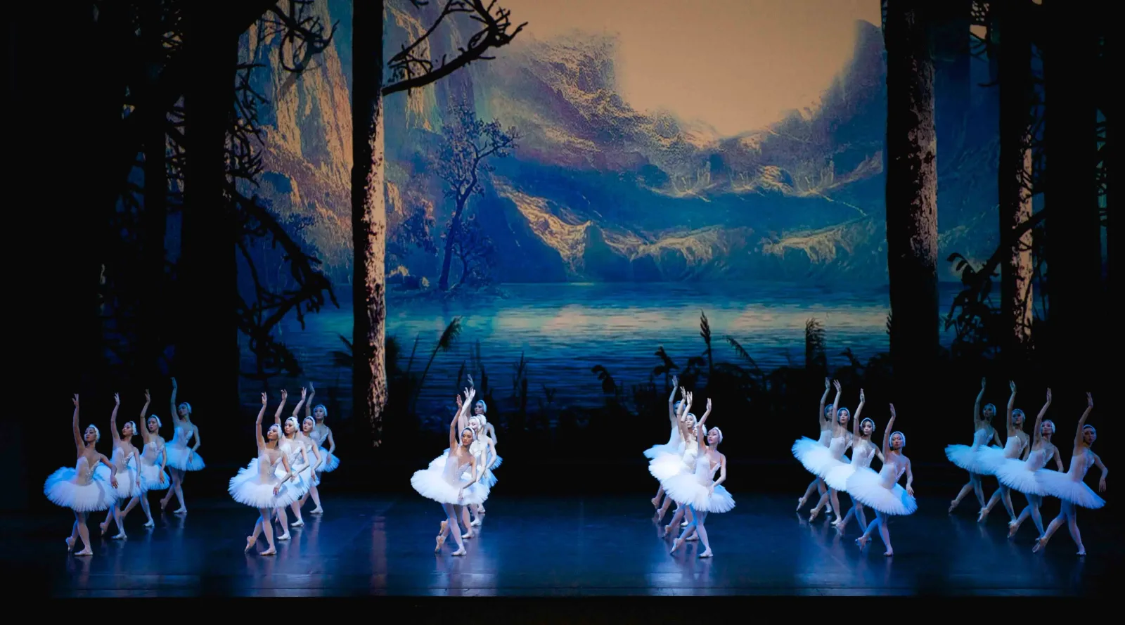 Kyiv Ballet - Swan Lake