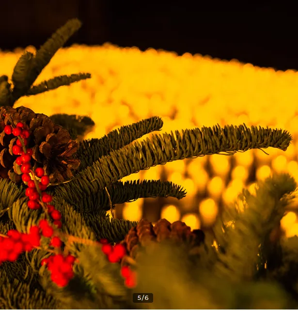Candlelight: Christmas Classics