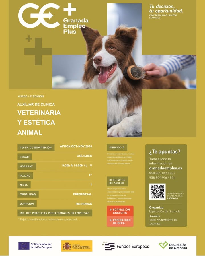 Image for the story: Free Veterinary Clinic Assistant Course in Ogíjares with 17 places