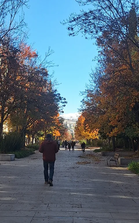 Imagen de la noticia: La Avenida de la Constitución entra en el catálogo internacional de paisaje sonoro