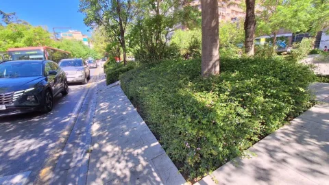 Imagen de la noticia: La Avenida de la Constitución entra en el catálogo internacional de paisaje sonoro