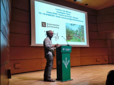 Imagen de la noticia: El IFAPA reúne en Granada a 65 profesionales para analizar los retos del olivar