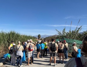 Un grupo de personas con mochilas y bolsas azules caminan por un sendero entre cañaverales, bajo un cielo despejado.