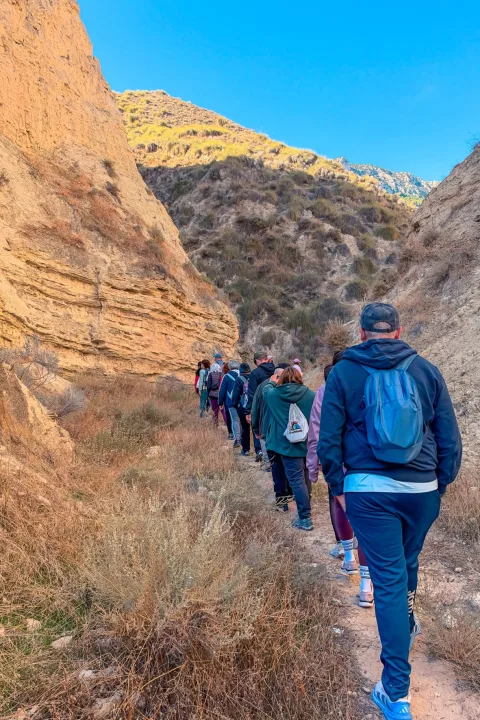 Imagen de la noticia: Baza cierra su programación de otoño con un taller de arte el 8 de noviembre