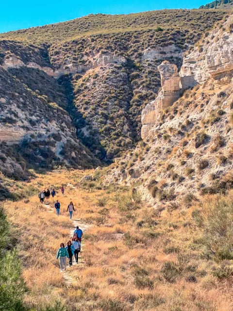 Imagen de la noticia: Baza cierra su programación de otoño con un taller de arte el 8 de noviembre