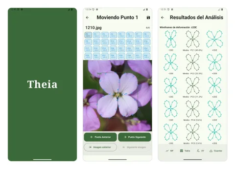 Imagen de la noticia: La UGR crea una app que mide organismos en el campo con IA