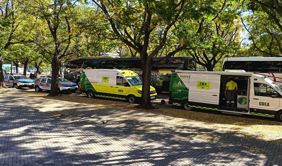 Varias ambulancias y vehículos de emergencia estacionados bajo árboles junto a autobuses en una zona pavimentada.